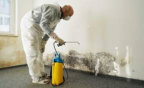 Best Mold Remediation for Healthcare Facilities  in Black Diamond, FL